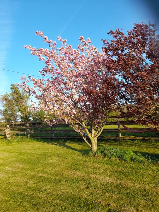 Shadowvale E34X773 Bed & Breakfast Tipperary Dış mekan fotoğraf