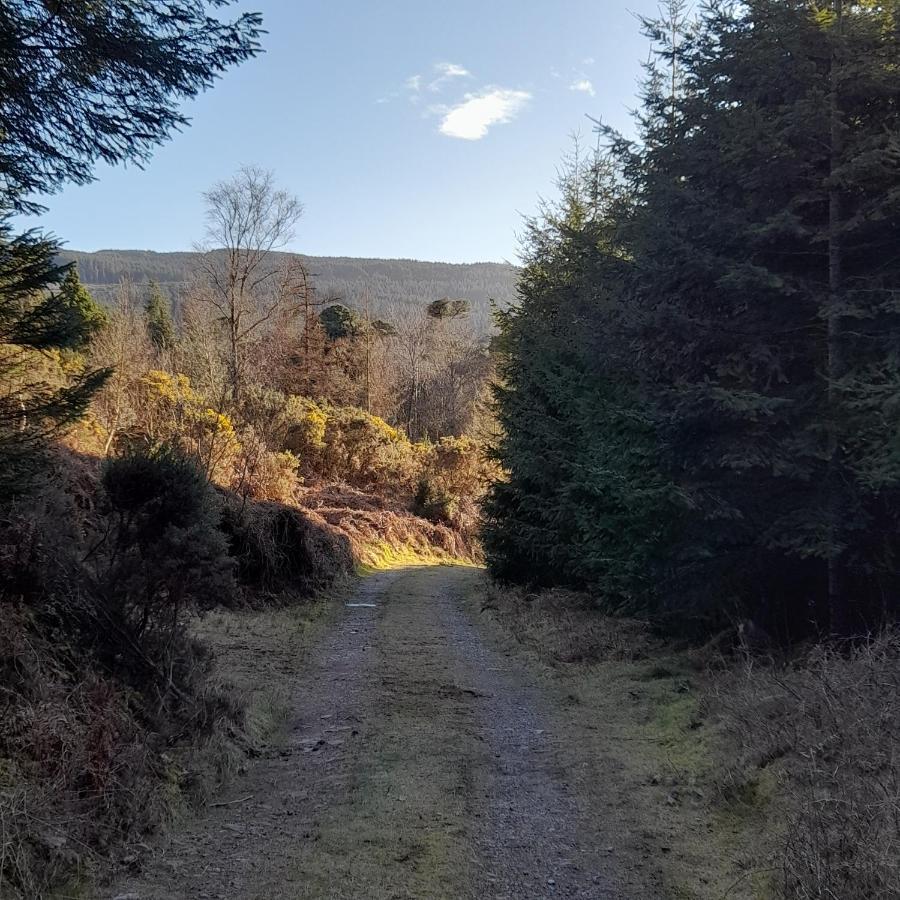 Shadowvale E34X773 Bed & Breakfast Tipperary Dış mekan fotoğraf