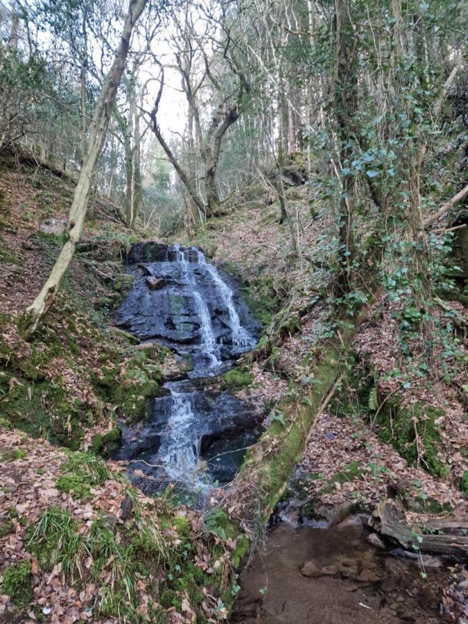 Shadowvale E34X773 Bed & Breakfast Tipperary Dış mekan fotoğraf